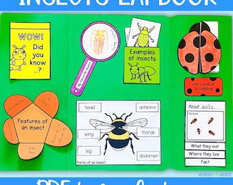 Insect bugs foldable printable lapbook templates | digital download | kids activity | science project