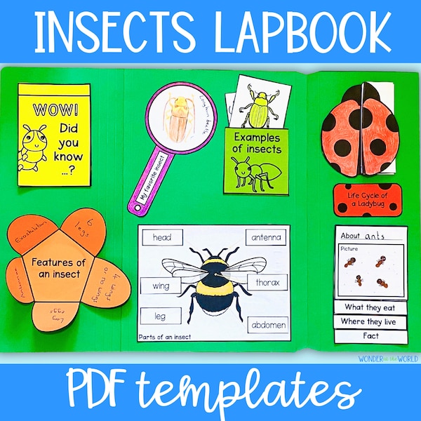 Insect bugs foldable printable lapbook templates | digital download | kids activity | science project