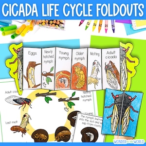 Life cycle of a cicada foldable sequencing science activity for kids, printable PDF, 11x8.5 inch and A4