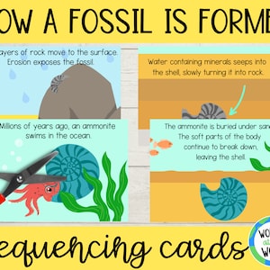 Hoe een fossiel wordt gevormd Afdrukbare sequencing-activiteit voor kinderen | A4 en 8,5 x 11 inch | Digitale download-pdf