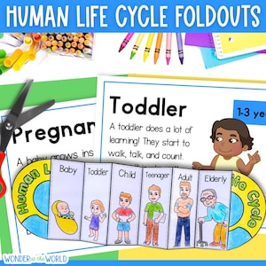 Secuencia del ciclo de vida humano y actividad de plegado para niños / imprimible en tamaño carta (EE. UU.) y A4 / Etapas del crecimiento humano / Descarga digital en PDF
