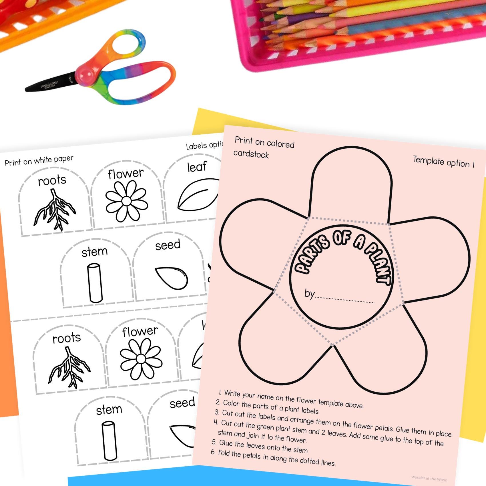 Spring Craftivity First Grade Plant Needs and Parts of a Plant Craft Kindergarten 1st Grade Spring ...