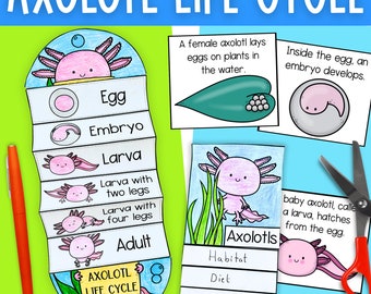 Life cycle of an axolotl cut and paste foldout science activity and printable worksheets for kids PDF