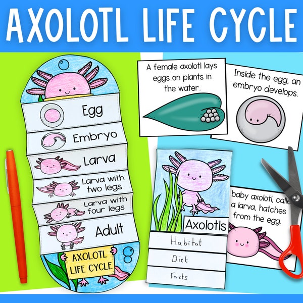 Ciclo di vita di un'attività scientifica pieghevole taglia e incolla di axolotl e fogli di lavoro stampabili per bambini PDF