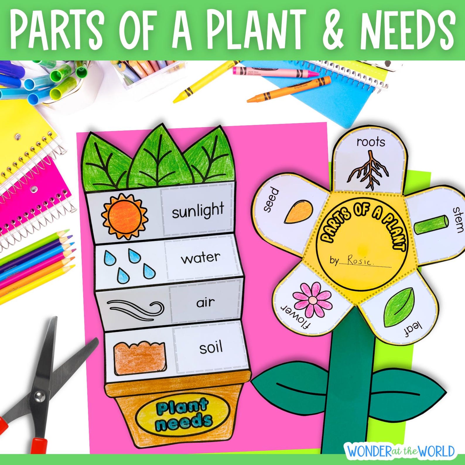 Spring Craftivity First Grade Plant Needs and Parts of a Plant Craft Kindergarten 1st Grade Spring ...