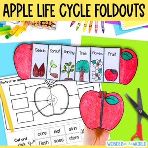 Op de afbeelding: Een educatieve activiteitenset getiteld APPLE LIFE CYCLE FOLDOUTS met een papieren accordeonvouwblad dat stadia van zaad tot vrucht toont, een werkblad met een diagram van een appel met lege vakjes en een rood papieren appelknutselwerkje.