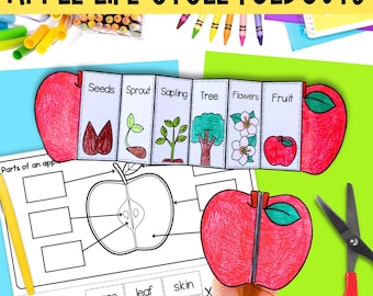 Life cycle of an apple tree sequence and fold science craft activity and label an apple printable