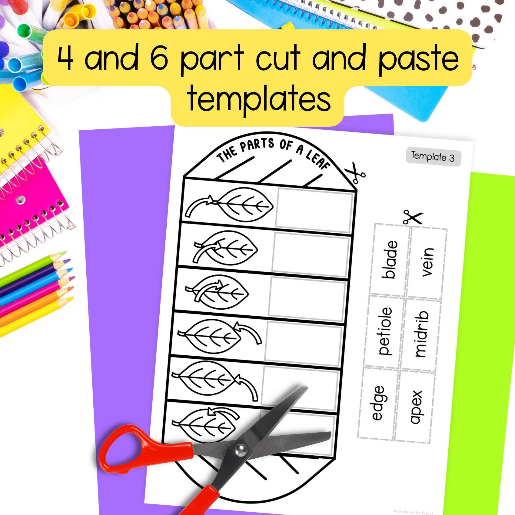 Parts of a Leaf Science Cut and Paste Craft Activity Templates PDF ...