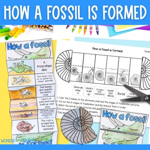 Cómo se forma un fósil: actividad de secuenciación plegable en formato PDF para fósiles de dinosaurios y amonitas, descarga digital de ciencia para niños