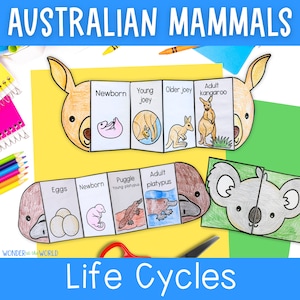 オーストラリアの動物、哺乳類、ライフサイクル、折り込み図、科学学習アクティビティ、カンガルー、コアラ、カモノハシ、PDF デジタル ダウンロード