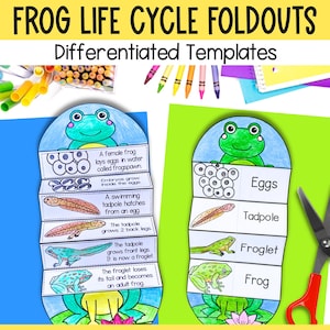Life cycle of a frog foldable kids&#39; craft | A4 and 11x8.5 inch | Printables | Science craft | Digital download | | Cut and paste activty