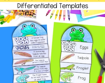 Life cycle of a frog foldable kids&#39; craft | A4 and 11x8.5 inch | Printables | Science craft | Digital download | | Cut and paste activty