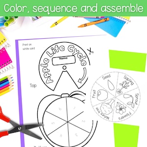 Life Cycle of an Apple Tree Spinner Wheel Sequencing Activity Fall ...