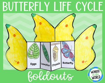 Life cycle of a butterfly foldable kids' craft | A4 and 11x8.5 inch | Digital Download | Science | Cut and paste