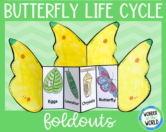 Life Cycle of a Butterfly Foldable Kids' Craft A4 and