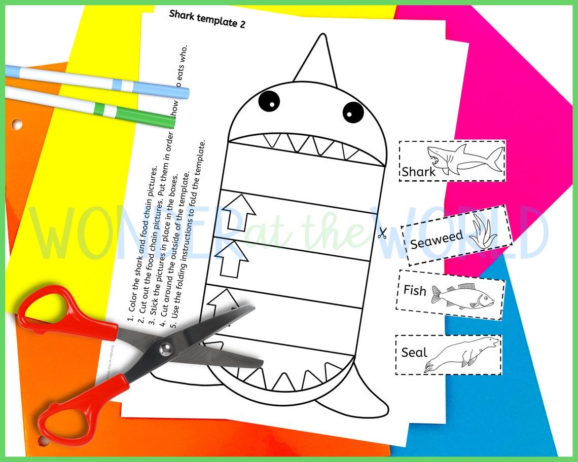 Make a Food Chain Foldable Activities PDF A4 and 8.5x11 Inch Science ... Biology Diagrams