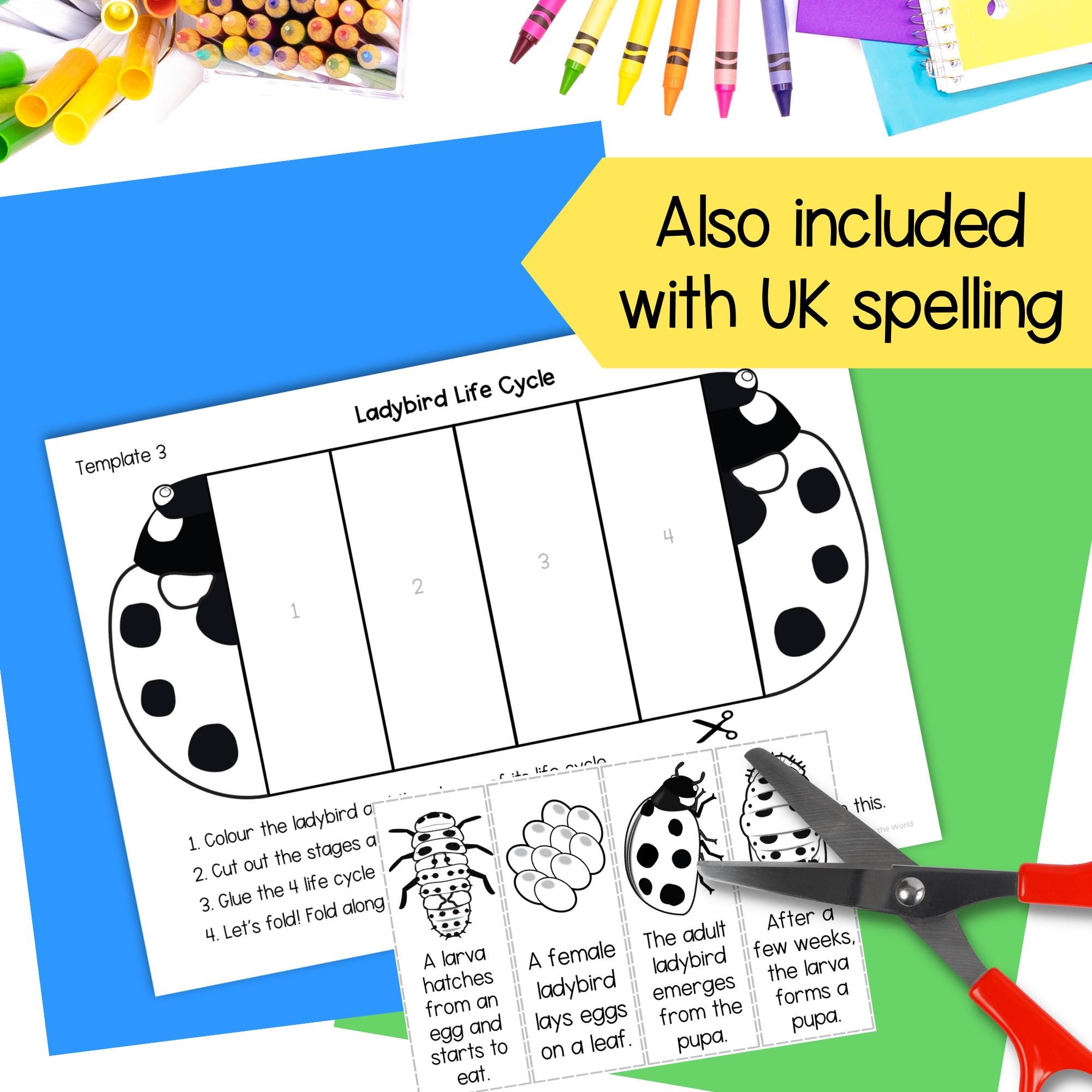 Life Cycle of a Ladybug Ladybird Sequence and Fold Kids' Science Craft ...