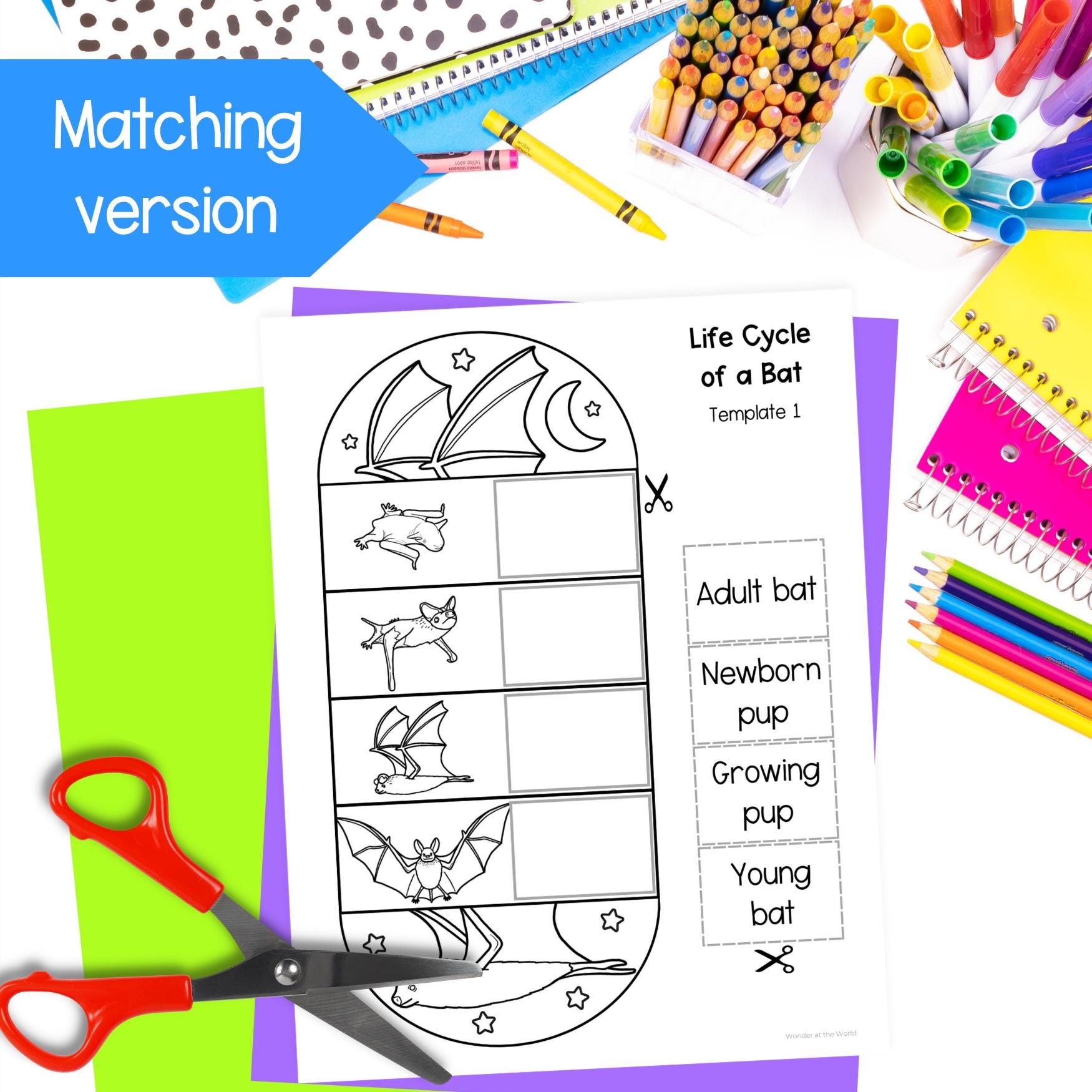 Life Cycle of a Bat Mammal Sequence and Fold Science Activity for Kids ...