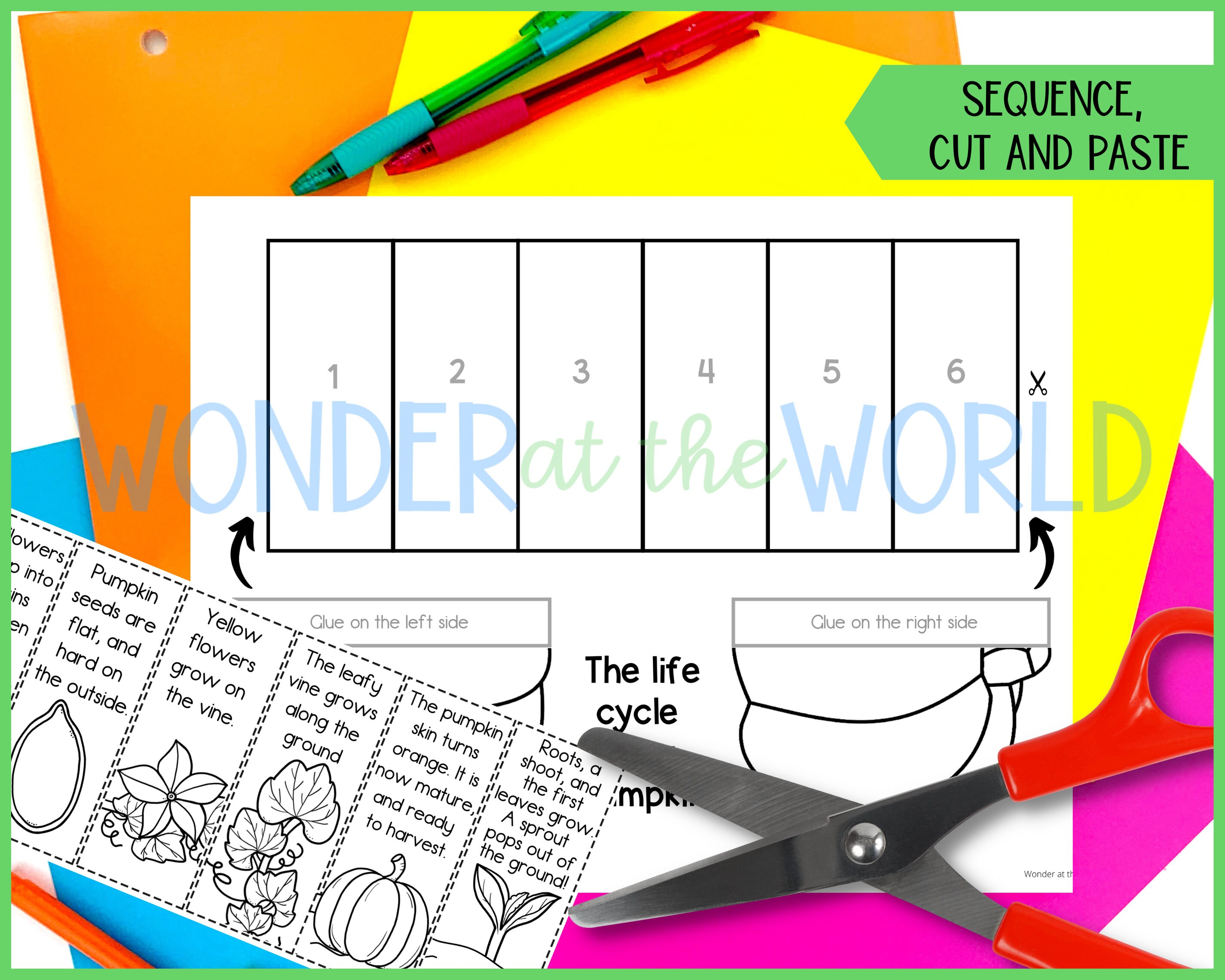 Life Cycle of a Pumpkin Foldable Activity for Kids A4 and - Etsy