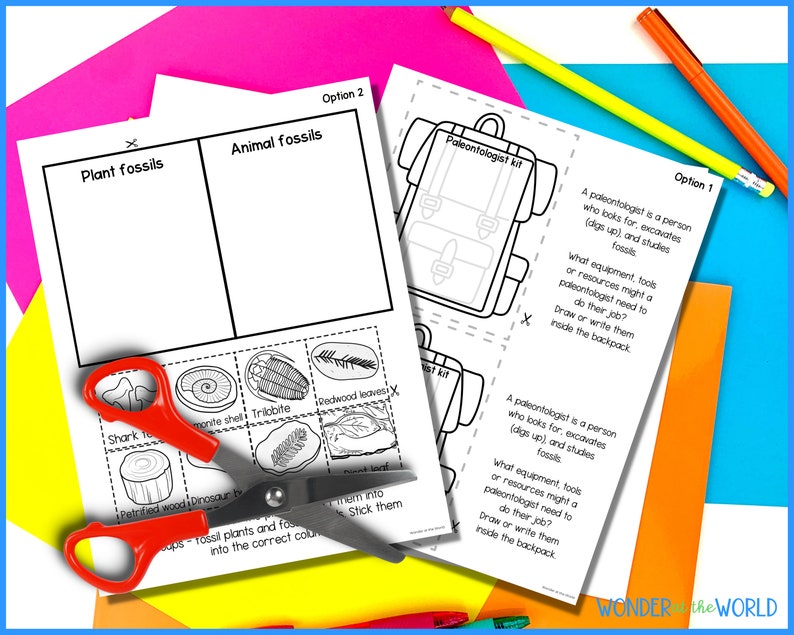 Fossils lapbook activity printable templates Earth science Digital Download A4 and 11x8.5 inch image 5