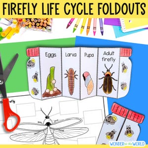 May include: A printable firefly life cycle foldout craft for kids. The foldout includes illustrations of the firefly in its egg, larva, pupa, and adult stages. The craft also includes a black and white firefly illustration for coloring.
