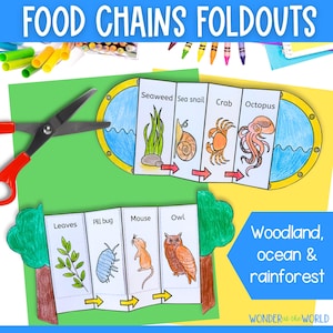 Food chains foldable activity for kids | A4 and 11x8.5 inch | Digital Download PDF | Science | Rainforest, ocean and woodland habitats