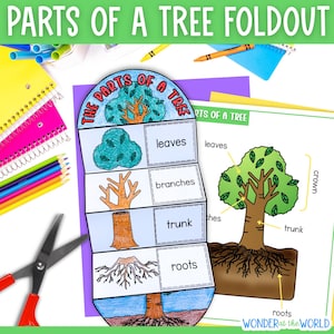 May include: A paper foldout activity titled Parts of a Tree featuring hand-drawn illustrations of leaves, branches, a trunk, and roots. Beside it is a diagram of a tree with labels for the crown, leaves, branches, trunk, and roots, with text reading Wonder at the World.