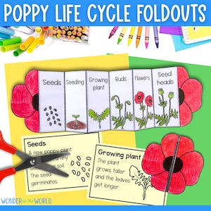 Poppy Life Cycle Foldable Sequencing Activity Cut and Paste Plant ...