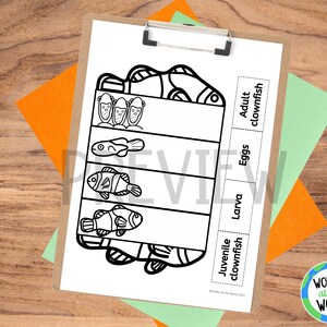 Life Cycle of a Clownfish Foldable Kids' Craft A4 and - Etsy