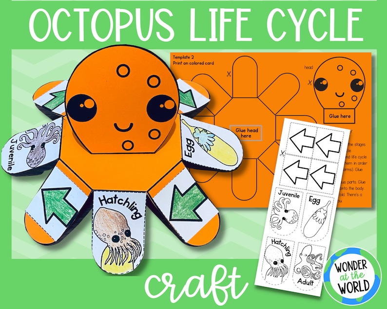 Life cycle of an octopus foldable kids' craft  A4 and image 1