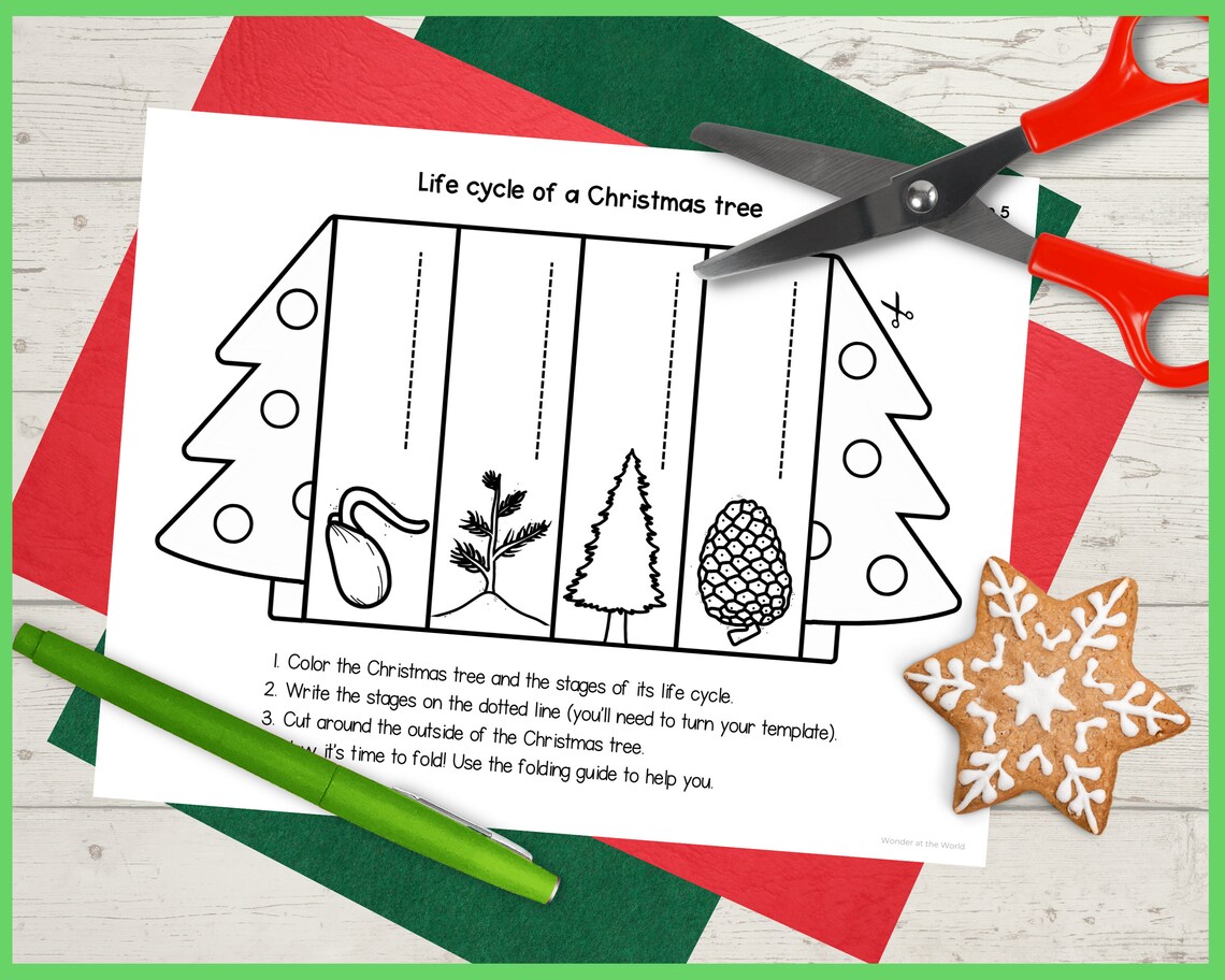Life Cycle of a Christmas Tree Foldable Kids' Craft A4 - Etsy UK