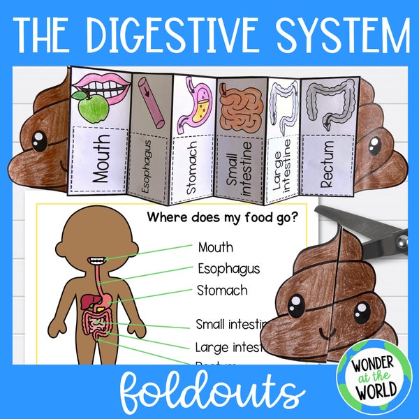 The digestive system foldable kids' activity | A4 and 11x8.5 inch | Digital Download | Science | Cut and paste