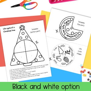 Life Cycle of a Coniferous Christmas Tree Foldout and Spinner Craft ...