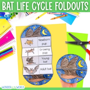 Life cycle of a bat mammal sequence and fold science activity for kids | digital download | 8.5x11 inch and A4 | Halloween activity