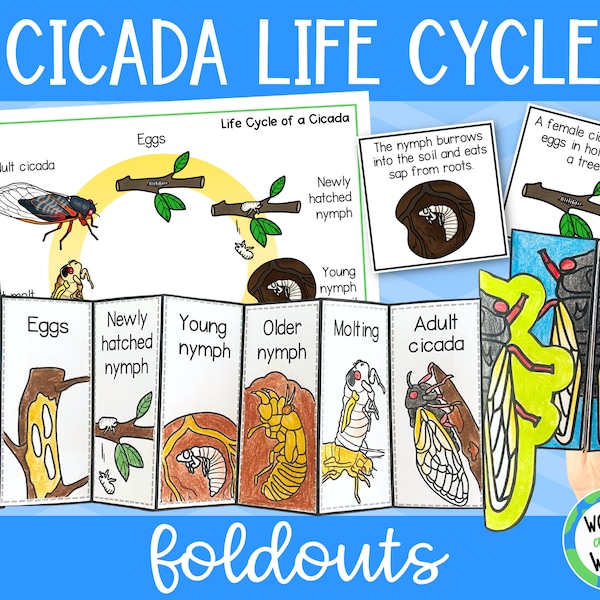 Life cycle of a cicada foldable sequencing science activity for kids, printable PDF, 11x8.5 inch and A4