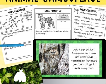 Animal camouflage science lesson PowerPoint Google Slides presentation, worksheets and hidden  butterfly  activity | Digital Download