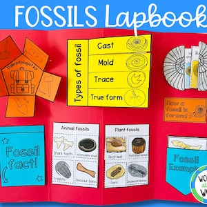 Fossils lapbook activity printable templates Earth science Digital Download A4 and 11x8.5 inch image 1