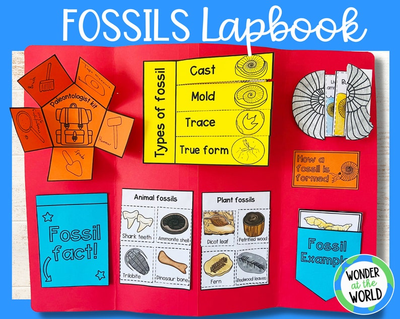 Fossils lapbook activity printable templates Earth science Digital Download A4 and 11x8.5 inch image 1