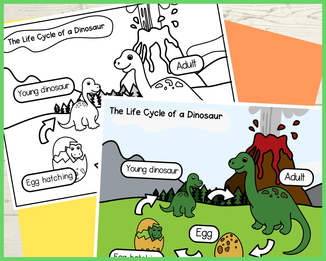 Life Cycle of a Dinosaur Foldable Activity for Kids Dinosaur Printable ...