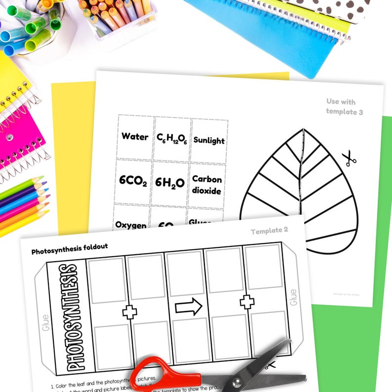 Pode incluir: Uma cole&ccedil;&atilde;o de materiais escolares e educativos. A imagem apresenta folhas de trabalho com diagramas e texto sobre fotoss&iacute;ntese, juntamente com l&aacute;pis de cor, marcadores e tesouras. As folhas de trabalho incluem as palavras "Fotoss&iacute;ntese" e "Template 2".