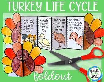 Life cycle of a turkey foldable kids' craft | 11x8.5 inch | Digital Download Printable | Fall Science | Thanksgiving