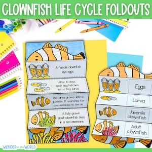 Life cycle of a clownfish foldable kids' craft | A4 and 11x8.5 inch | Digital Download | Science | Cut and paste