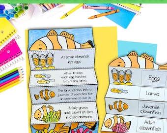Life cycle of a clownfish foldable kids' craft | A4 and 11x8.5 inch | Digital Download | Science | Cut and paste