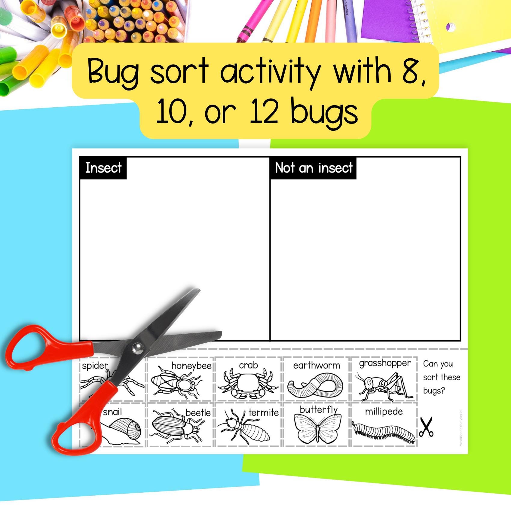 Bugsort Body Parts of an Insect Craft and Bug Sort Cut and Paste Activities ...