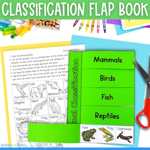 Classificazione degli animali, ordina, taglia e incolla, solleva il lembo, libro attività, download digitale, PDF stampabile per bambini