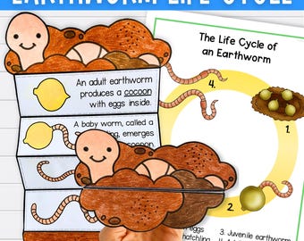 Earthworm worm life cycle sequence and fold science craft activity PDF