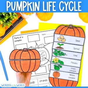 Life cycle of a pumpkin sequence and fold science craft activity PDF printable