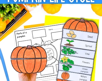 Life cycle of a pumpkin sequence and fold science craft activity PDF printable