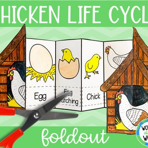 Life cycle of a chicken foldable kids' craft | A4 and 11x8.5 inch | Digital Download | Science | Cut and paste