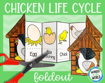 Life cycle of a chicken foldable kids' craft | A4 and 11x8.5 inch | Digital Download | Science | Cut and paste